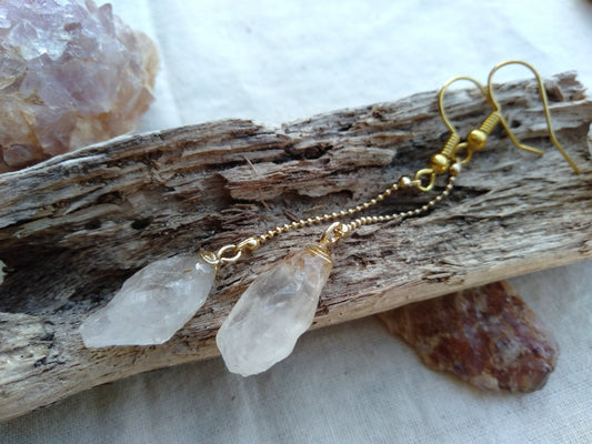 Darwin Amethyst / Crystal earrings