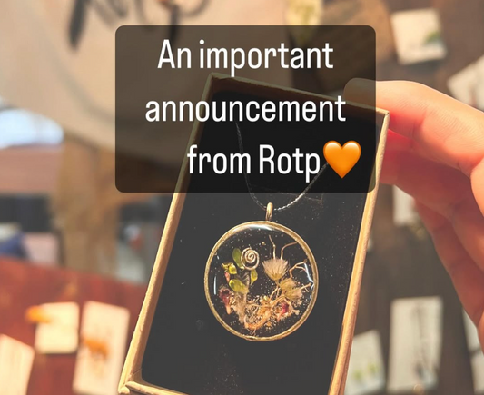 Rotp moved in EUMUNDI SAQUARE! 🌿