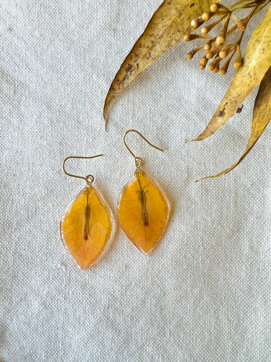 Bougainvillea earrings, amber orange