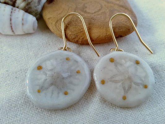 Sand dollar earrings Rotp Darwin Australia