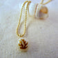 Tiny shell necklace with painting, little algae