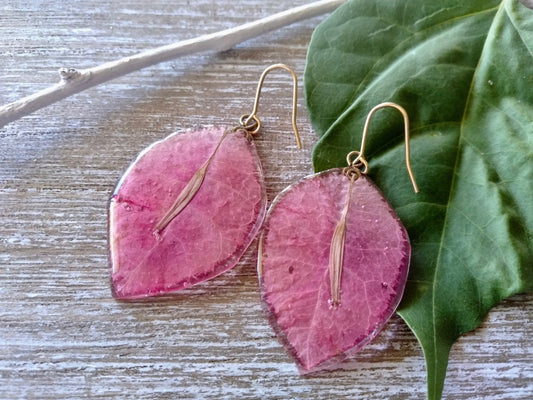 Bougainvillea earrings Rotp Darwin