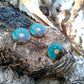 Darwin bush sunrise earrings