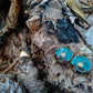 Darwin bush sunrise earrings