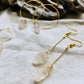 Darwin Amethyst / Crystal earrings